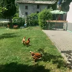Casa Sergio Dom wakacyjny