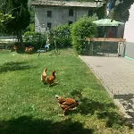 Prázdninový dům Casa Sergio