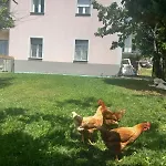 Prázdninový dům Casa Sergio *