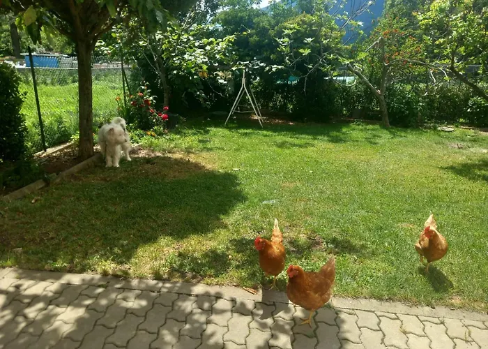 Casa Sergio بيت للعطل